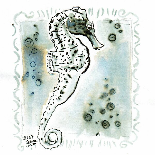 04-underwater- Seepferdchen