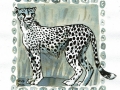 11-run- Gepard