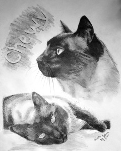 Collage - Bleistift - A3