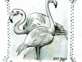 08-crooked- Flamingos
