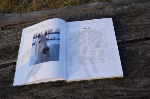 Printdesign: Book Mit Pferden sein ... das Leben ist einmalig by Sabine Birmann